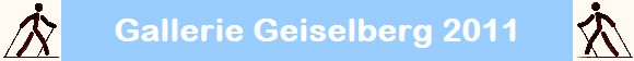 Gallerie Geiselberg 2011