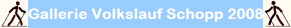 Gallerie Volkslauf Schopp 2008