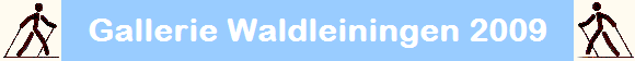 Gallerie Waldleiningen 2009