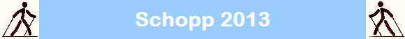 Schopp 2013
