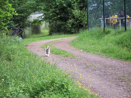 1. Geiselberger NW-Lauf 3