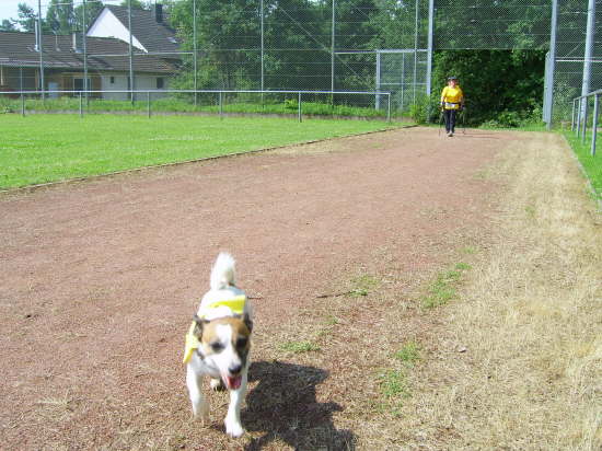 4. Beilsteinlauf Hochspeyer 05-07-2009 004