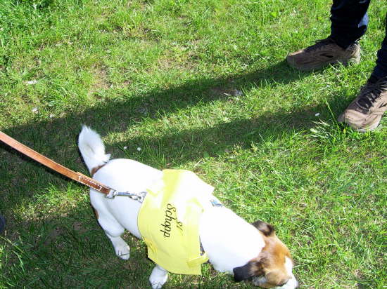 M�lschbach 29-05-2009 001