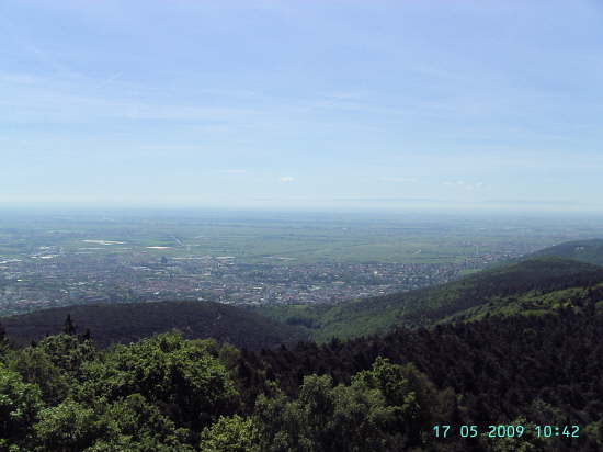 Weinbiet Wanderung 17052009 012
