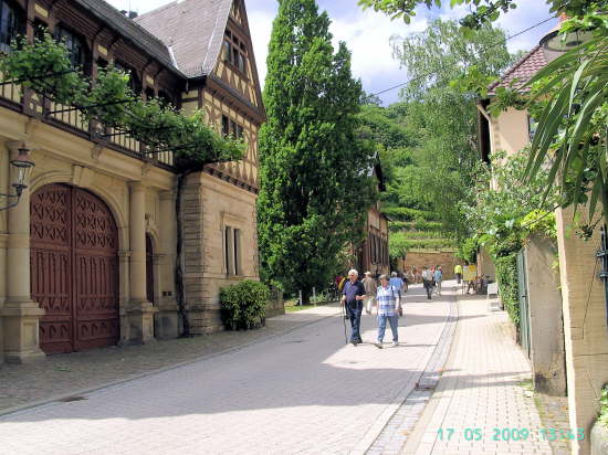 Weinbiet Wanderung 17052009 031