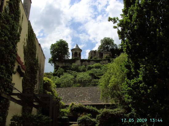 Weinbiet Wanderung 17052009 032