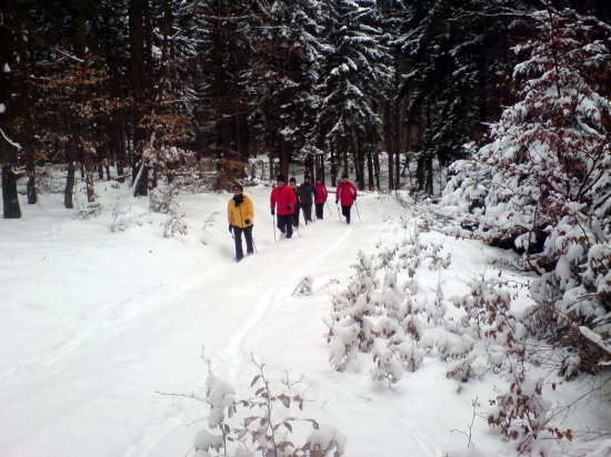Winter 2010 003